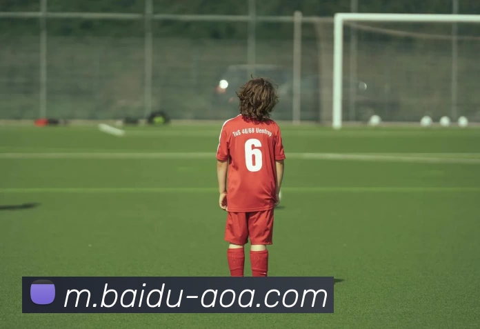 AOA体育平台生态图